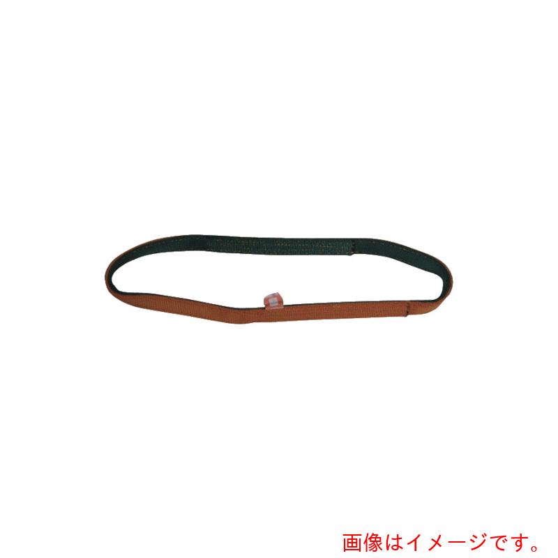 東レインターナショナル　シライ　ベルトスリング　ナイロンスリング　Ｎ３Ｎ（ＪＩＳ３トウキュウ）　エンドレス形　１００ｍｍ幅×長さ３．５ｍ　【品番：N3N-100X3.50】