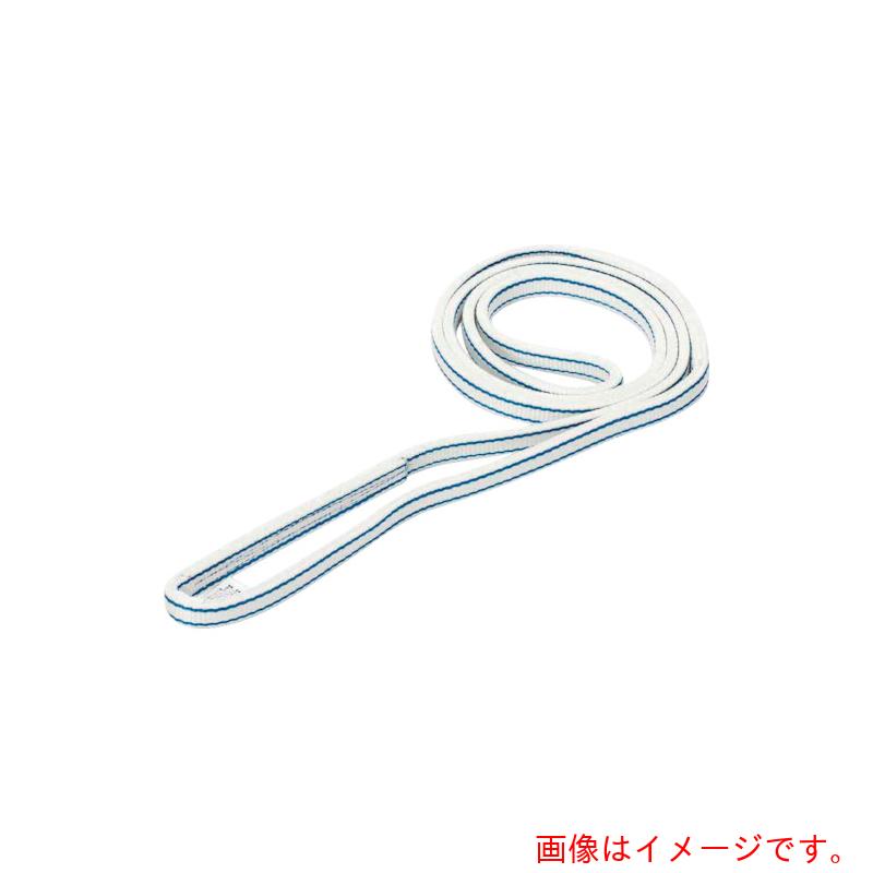 ★東レインターナショナル　シライ　ベルトスリング　ポリエステルスリング　ＰＥＴ３Ｎ（ＪＩＳ３トウキュウ）　エンドレス形　１００ｍｍ幅&times;長さ４．７５ｍ　【品番：PET3N-100X4.75】｜住設プロ　店
