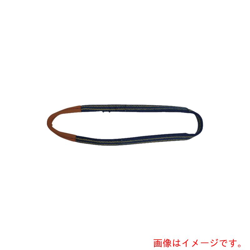 東レインターナショナル　シライ　ベルトスリング　シグナルスリング［［Ｒ上］］ＨＧ　ＳＧ４Ｎ（ＪＩＳ４トウキュウ）　エンドレス形　１００ｍｍ幅×長さ０．７５ｍ　【品番：SG4N-100X0.75】