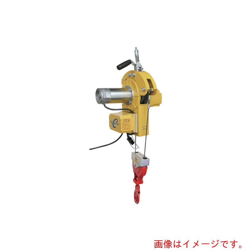 【別途送料あり】トーヨーコーケン(TKK) 二本掛けベビーホイスト 無線2か所操作用 460kg 10M 【品番:DB-E820WR】