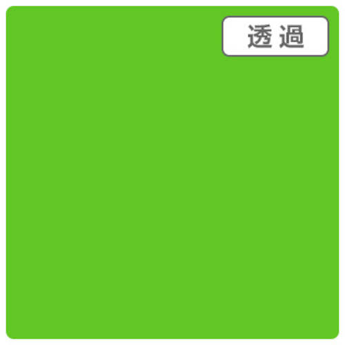 【別途送料あり】トレード　ｓｉｇｎ　ｃｉｔｙ　３Ｍスコッチカル　ＸＬ　ＴＰ３７０３ＸＬ　アップルグリーン　１０００ｍｍＸ５０ｍ　【品番：6300033640】｜住設プロ　店