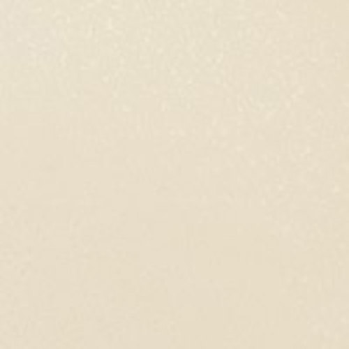 【別途貨物輸送あり】取り替えっこ ｓｉｇｎ ｃｉｔｙ ダイノック ネオ壁・上昇限度用 ＰＳ－０１４ＮＥＯ 単色 １２２０粍ｘ１ｍ 旧 ＮＥＯ－Ｒ０３８ 【品番：6300043939】