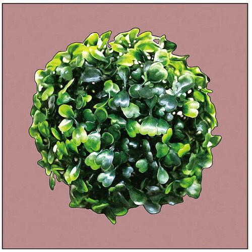 【別途送料あり】トレード　ｓｉｇｎ　ｃｉｔｙ　キャンバス　Ｐｌａｎｔ　グリーン　Ｓ２０　Ｎｏ．４３１６１　【品番：6300044123】