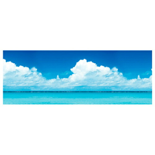 トレード　ｓｉｇｎ　ｃｉｔｙ　年間タイトルポップ　ビニール幕　青空と海のイメージ　６００ｍｍ&times;５０ｍ巻　ＰＡ２&minus;０３４２　【品番：6300053436】｜住設プロ　店