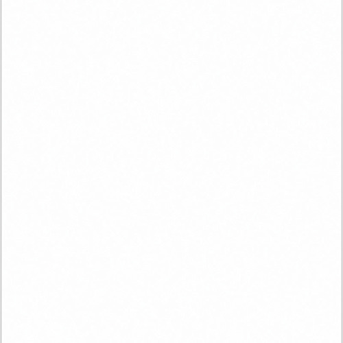 ★【別途送料あり】トレード　ｓｉｇｎ　ｃｉｔｙ　ニューカラーボード　ホワイト　５ｍｍ厚　３Ｘ６判　素板　ＢＰ－５ＣＢ－３Ｘ６－ＷＨ　バラ売り　【品番：6300023594】 7,185円