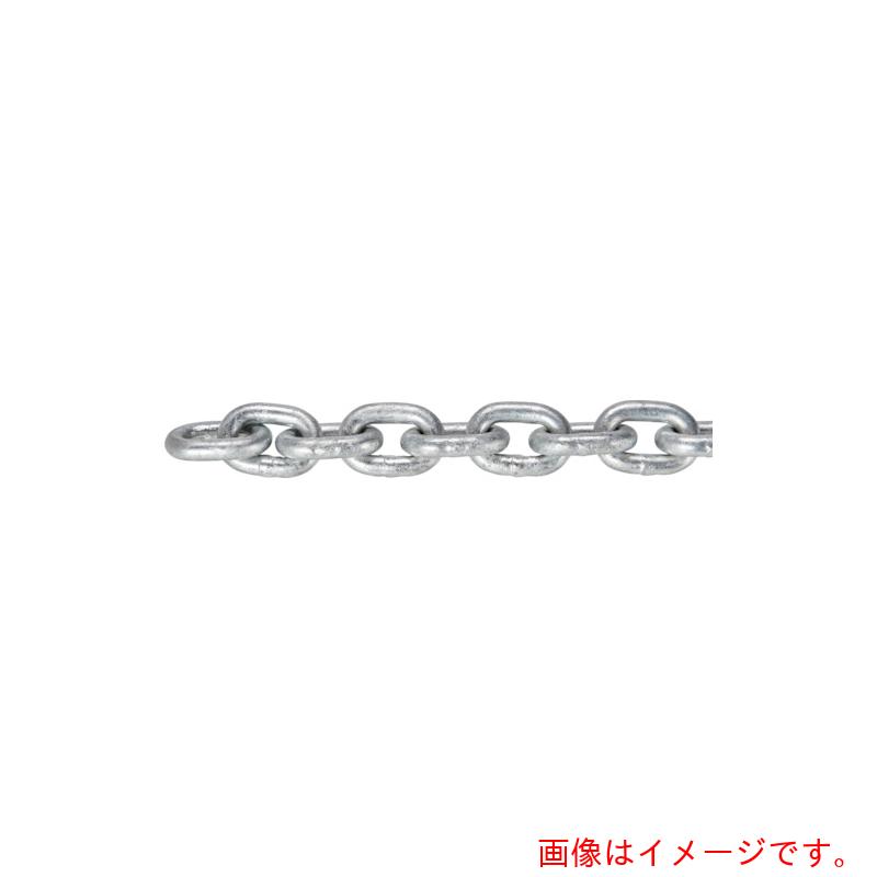 【別途貨物輸送あり】トラスコ中山（TRUSCO） TRUSCO ＪＩＳ Ｆ２１０６第一種標準尺度好いかげんに ショートリンクチェーン スチール写真 ドブメッキ 線径２２粍×長さ２０．１Ｍ～２１．０Ｍ 【品番：TIC-22-SH-D-21C】