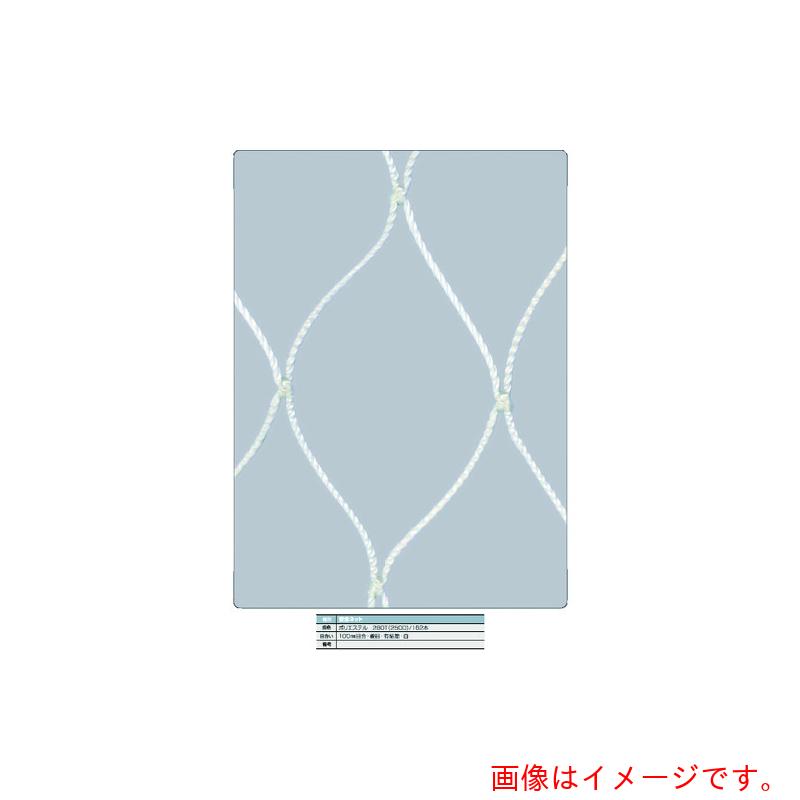トラスコ中山（TRUSCO） 安全性のあるサイバー空間白３．２Φ 幅５ｍ×１０ｍ 目合１００ 菱目有結節 【品番：TSNE-50100-W】