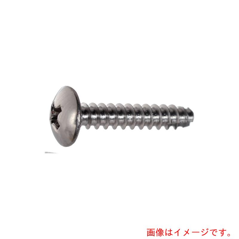 トラスコ中山（TRUSCO）　TRUSCO　トラス頭タッピングねじ　２種溝付Ｂ１　ステンレス　Ｍ４×８　５４０本入　ヘキサゴンパック　【品番：S038-0408】