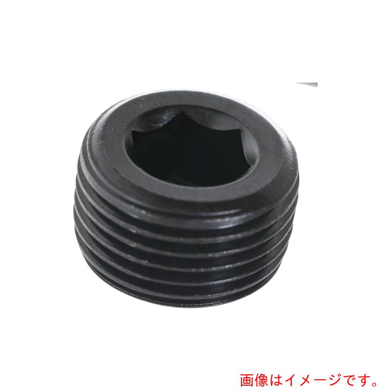トラスコ中山（TRUSCO）　TRUSCO　テーパープラグ　沈み　スチール　ＰＴ１／１６　４８０本入　ヘキサゴンパック　【品番：S073-0116】