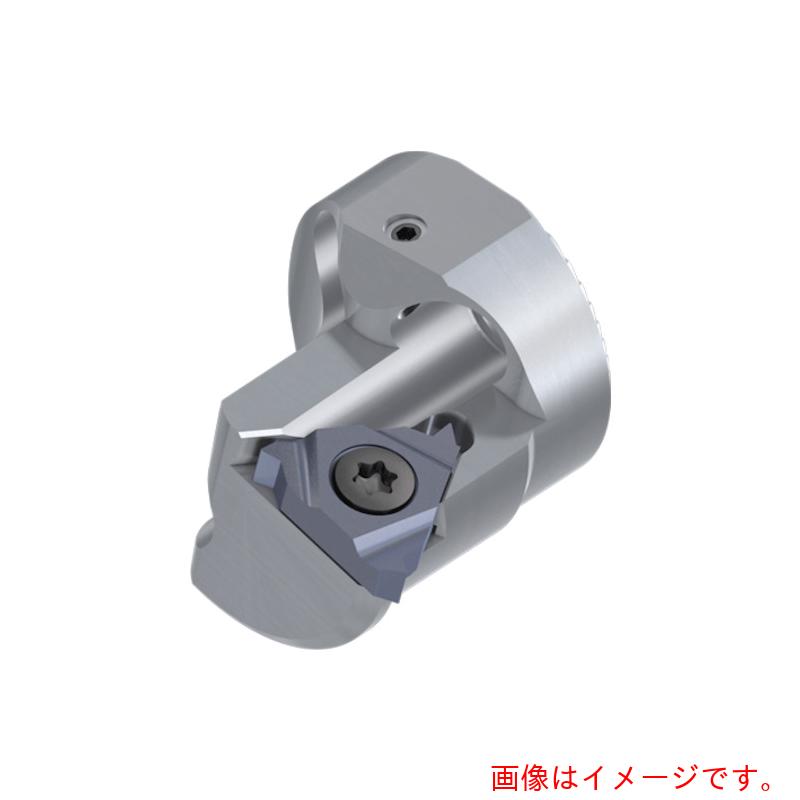 タンガロイ（Tungaloy） ボア・マイスター ねじ切り用尖端 【品番：S20-SNR16-H】