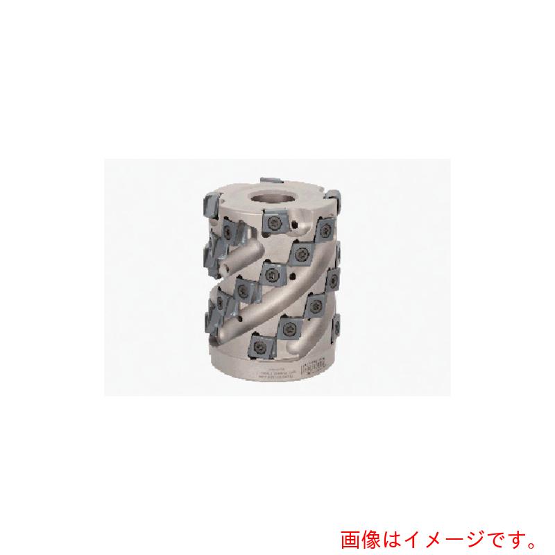 タンガロイ（Tungaloy） ＴＡＣ向こう正面フライス 【品番：TLM11R050M22.0E03】 花・ガーデン・DIY-DIY・工具-その他