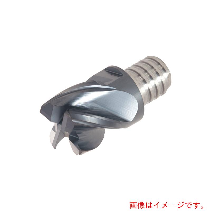 タンガロイ(Tungaloy) タング・マイスター用ヘッド 4枚刃 スクエアタイプ 不等分割 VEE-I AH715 2個入り 【品番:VEE160L12.0C60I04S10】
