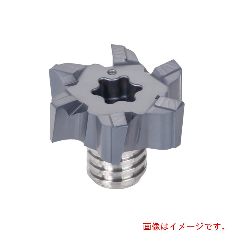 タンガロイ（Tungaloy） タングマイスター用水平産業用上端 ＡＨ７１５ 2個入り口・入口 【品番：VFM160L04.8R04I06S06】