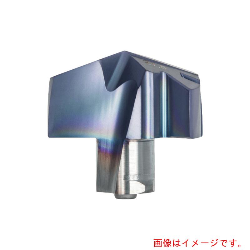 タンガロイ（Tungaloy）　ドリル・マイスター　汎用ドリルヘッド　ＤＭＰ　ＡＨ７２５　2個入り　【品番：DMP065】