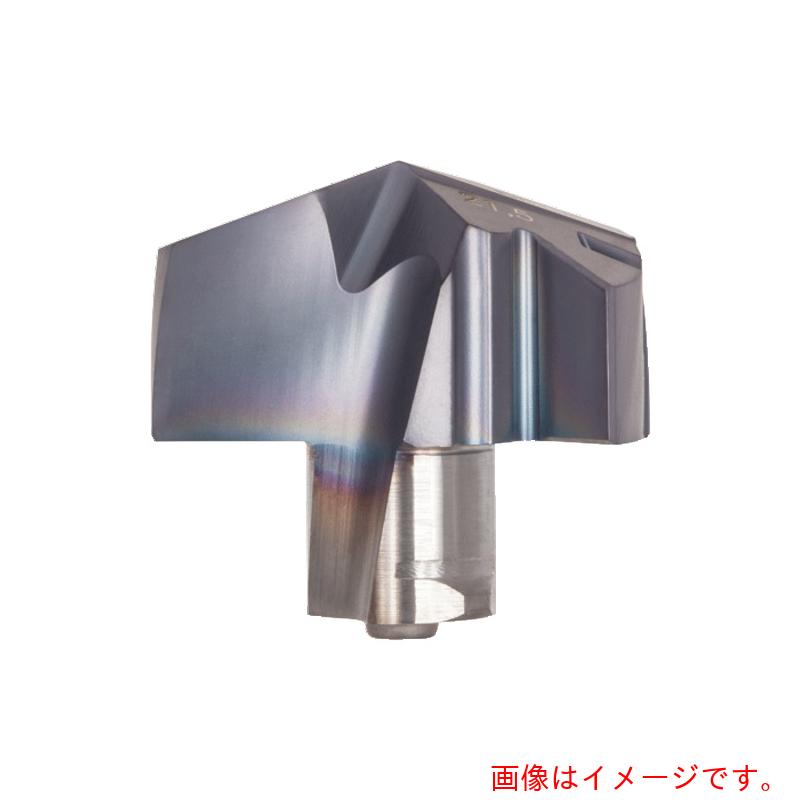 タンガロイ（Tungaloy） ドリル・マイスター 汎用せん孔機頭顱 ＤＭＰ ＡＨ７２５ 2個入り口・入口 【品番：DMP1927】 花・ガーデン・DIY-その他