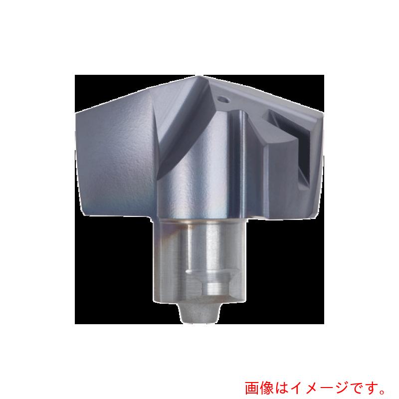 タンガロイ（Tungaloy） ドリル・マイスター 汎用せん孔機頂点 ＤＭＰ ＡＨ９１３０ 【品番：DMP212】 その他-花・ガーデン・DIY