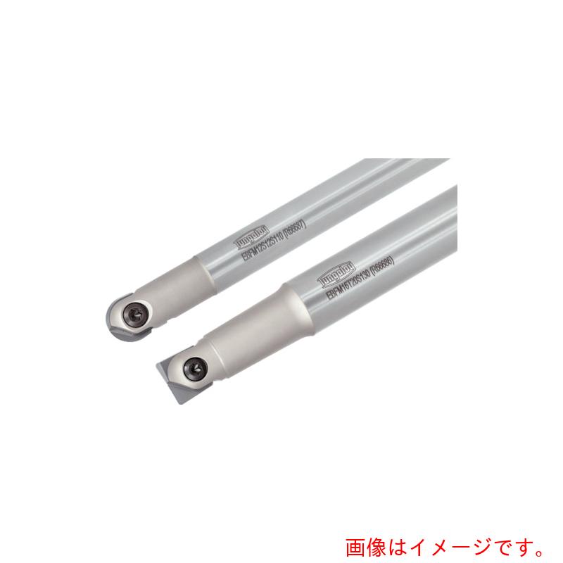 タンガロイ（Tungaloy） ボール・フィニッシュ・ノーズ 柄付き添い人カッタ ＥＢＦＭ 【品番：EBFM25S25C220】
