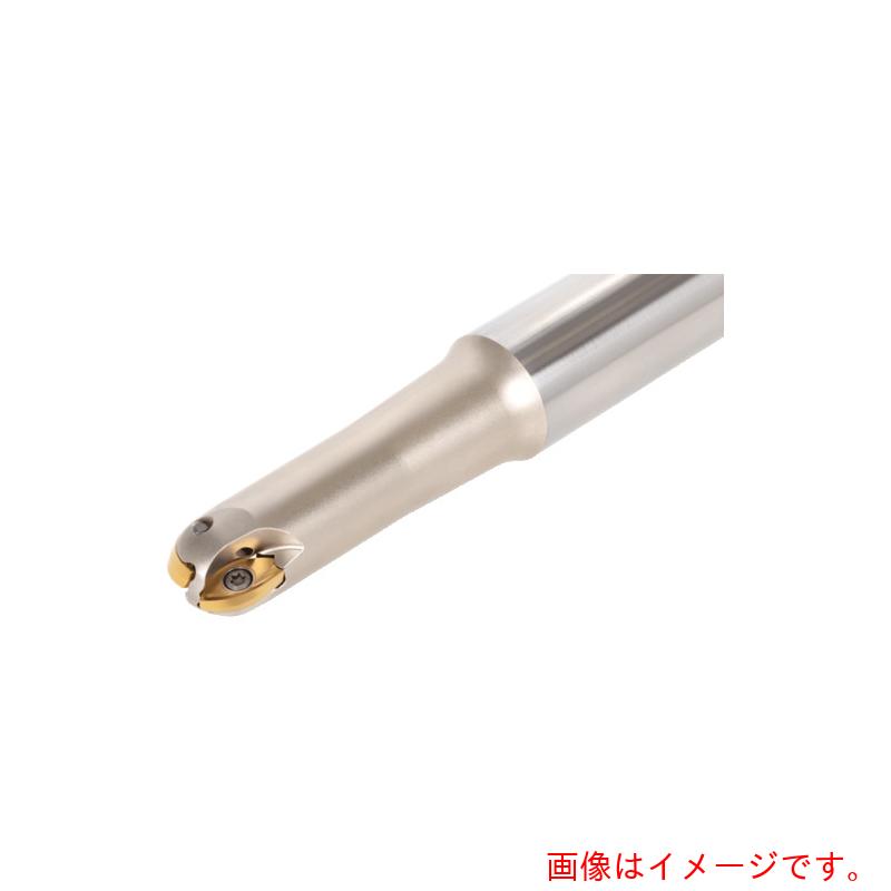 タンガロイ（Tungaloy） ボール・ラフ・ノーズ 柄付き添い人カッタ ＥＢＲＭ 【品番：EBRM25T32S300】