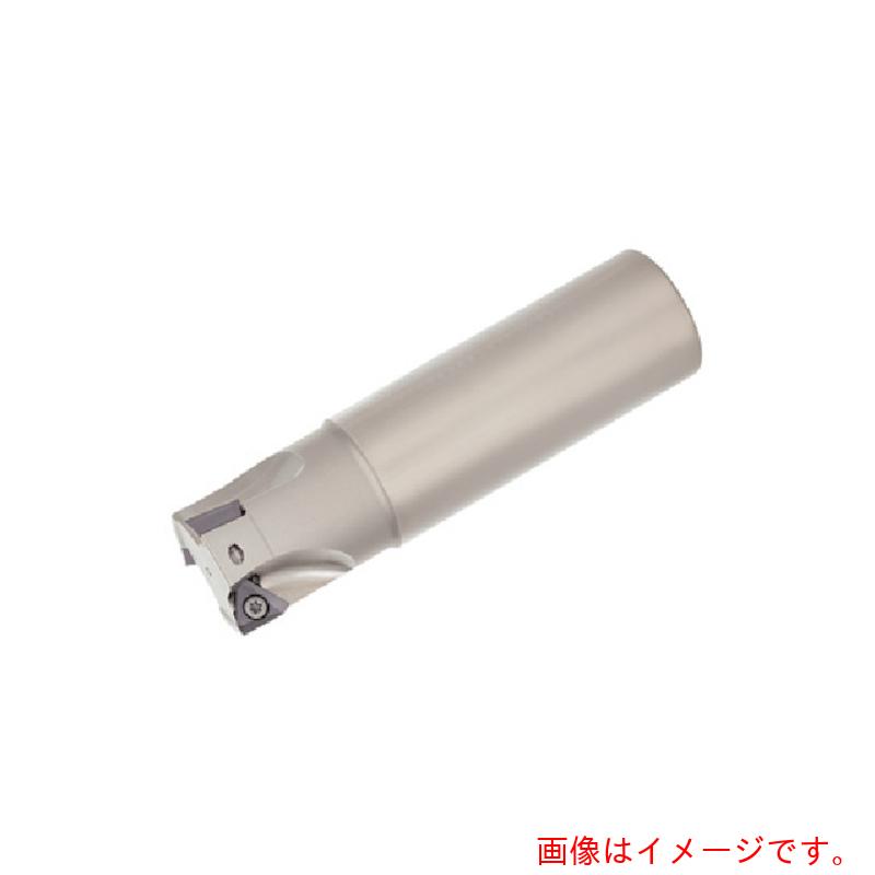 タンガロイ(Tungaloy) タング・トライ 柄付きカッタ EPA10 【品番:EPA10R032M32.0-02L】