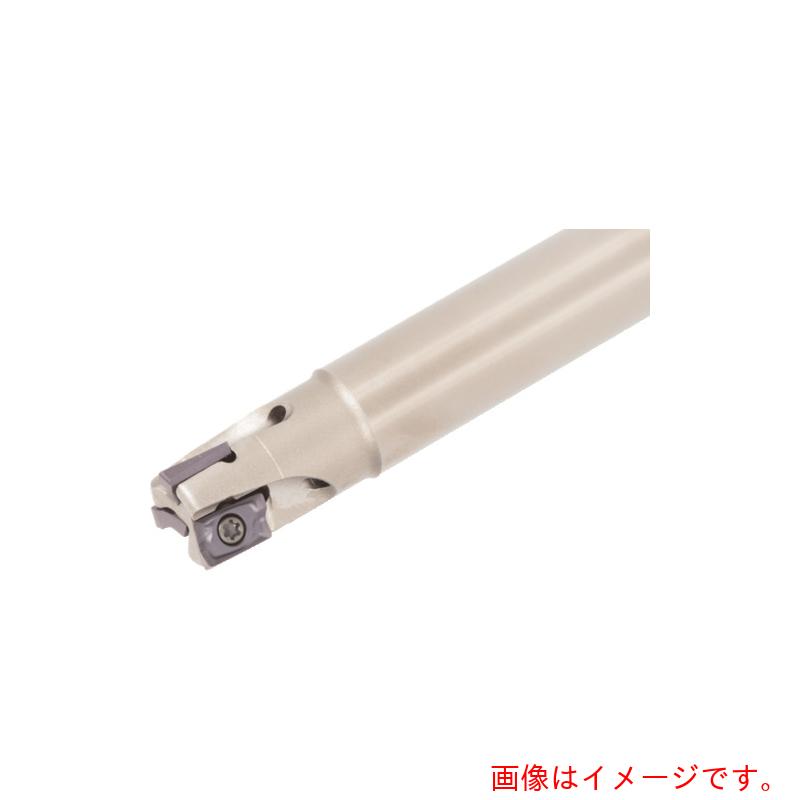 タンガロイ(Tungaloy) タング・フォース・レック 柄付きカッタ EPAV06 【品番:EPAV06M010C10.0R02L】