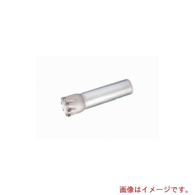 タンガロイ（Tungaloy） タング・クアッド 柄付き添い人カッタ ＥＰＤ０５ 【品番：EPD05R040M32.0W08】