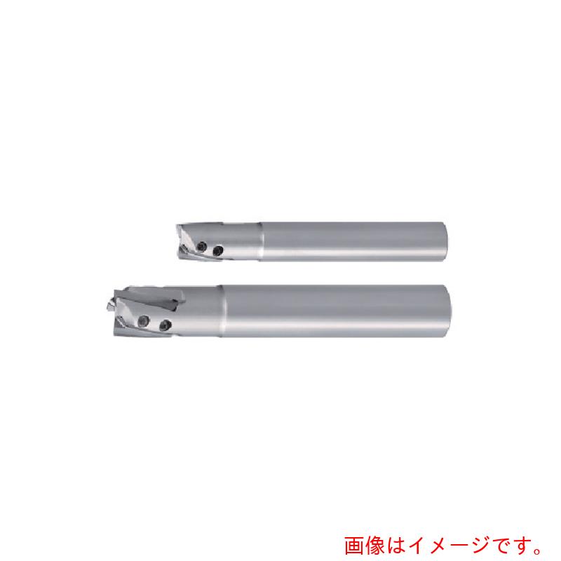 タンガロイ（Tungaloy）　ハイブリッド・タック・ミル　柄付きカッタ　ＥＰＨ　【品番：EPH13R012M12.0-2L】