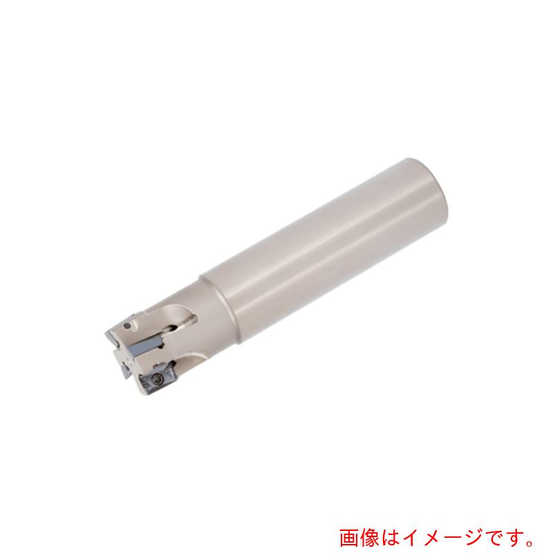 タンガロイ（Tungaloy）　タング・レック　柄付きカッタ　ＥＰО１１　【品番：EPO11R030M25.0-02L】