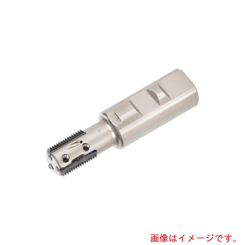 タンガロイ（Tungaloy）　スレッド・ミリング　ねじ切りカッタ　ＥＴＴＬ　【品番：ETTL25M022W25.0F043R03】
