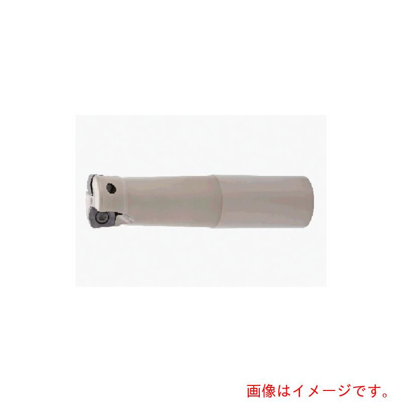 タンガロイ（Tungaloy） ドゥ・フィード 柄付きカッタ ＥＸＮ０６ 【品番：EXN06R040M32.0-03】