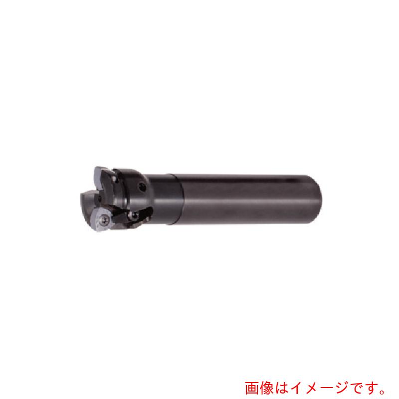 タンガロイ（Tungaloy）　ミル・フィード　柄付きカッタ　ＥＸＰ　【品番：EXP06040RL】