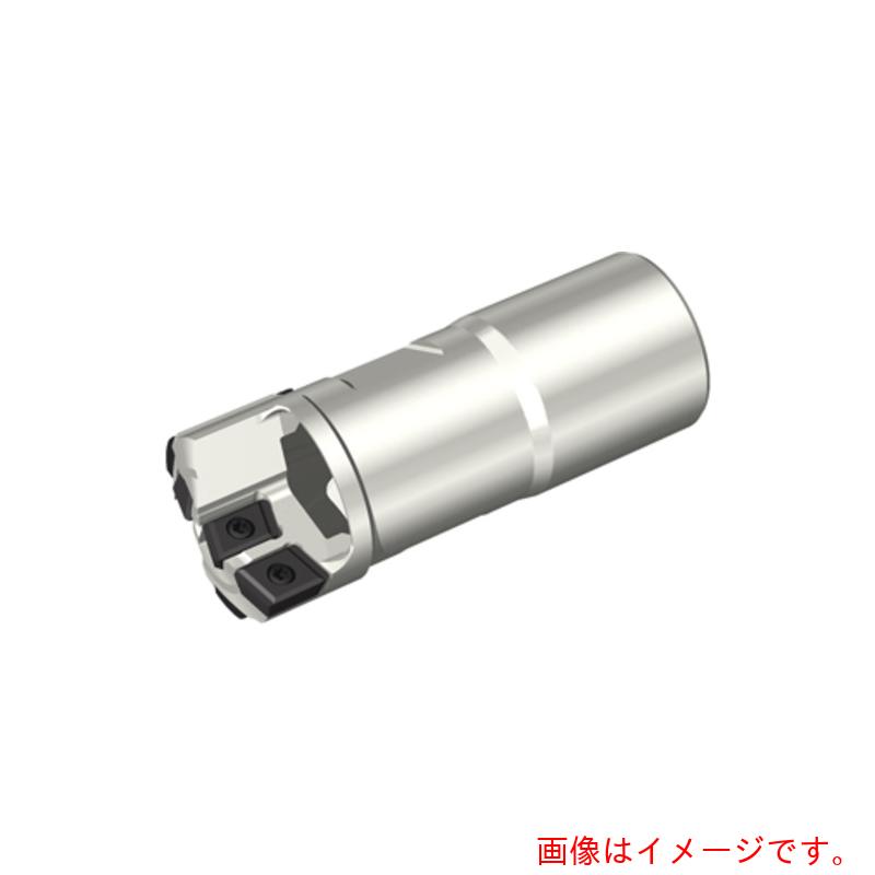 タンガロイ（Tungaloy）　ＦＩＮＥ－ＢＥＡＭ　ソリッドドリルヘッド　ＳＴＳ－ＩＮ　【品番：FNBM-22N-25.00】