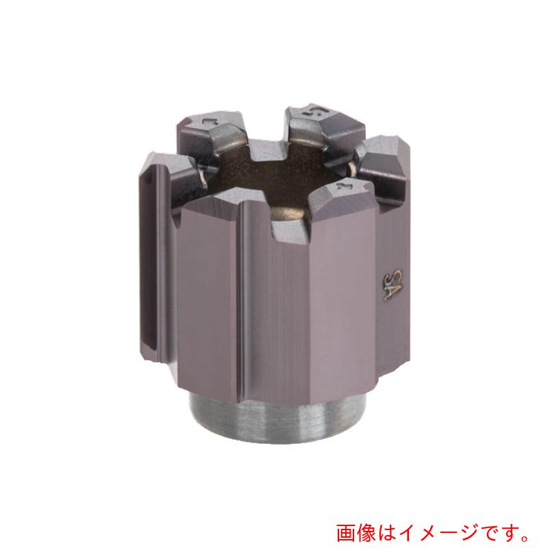 タンガロイ（Tungaloy）　リーム・マイスター　止まり穴用直溝付きリーマヘッド　ＨＲＭ－ＡＳ　ＡＨ７２５　【品番：HRM-15.875-AS-T6】