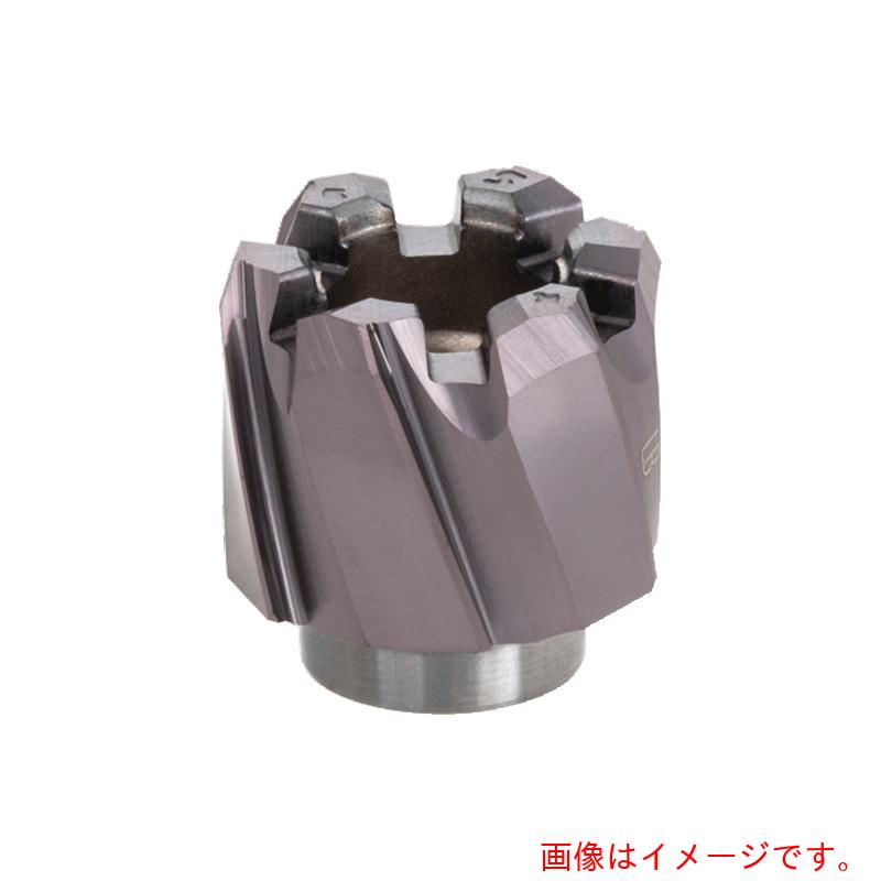 タンガロイ（Tungaloy）　リーム・マイスター　貫通穴用左ねじれ溝付きリーマヘッド　ＨＲＭ－ＢＬＴ　ＡＨ７２５　【品番：HRM-25.400-BL-T8】