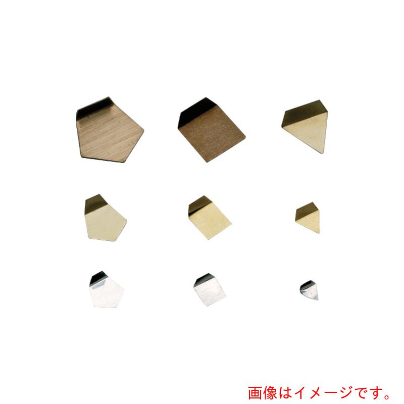 新光電子　ＶＩＢＲＡ　Ｆ１ＰＳＯ－１００Ｍ：板状分銅　ＯＩＭＬ型（非磁性ステンレス）　１００ＭＧ　Ｆ１級　【品番：F1PSO-100M】