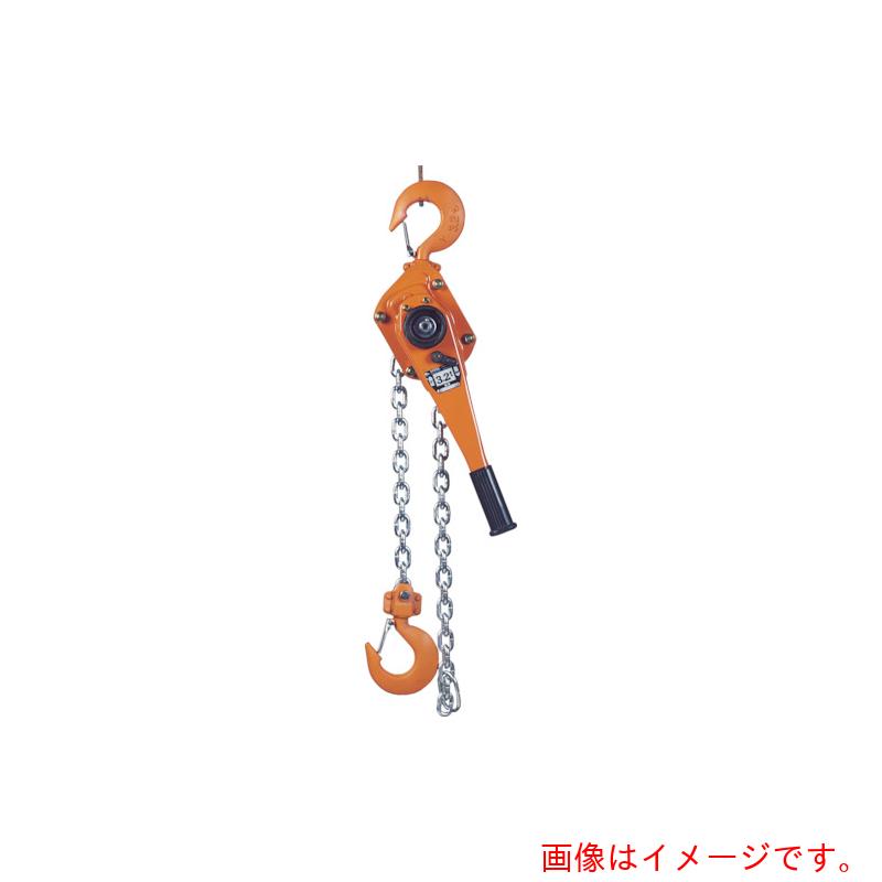 バイタル工業(VITAL) ナイスレバーNR2 3.2t 【品番:NR2-30】|住設プロ 店
