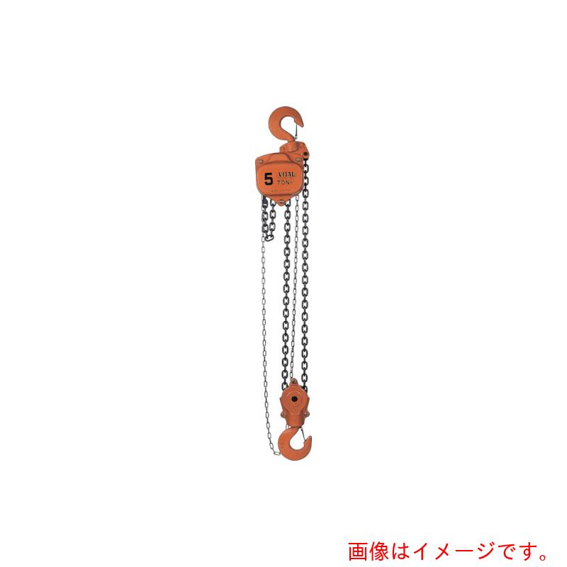 【別途貨物輸送あり】バイタル産業（VITAL） チェンブロックＶＨ５つづき物 ５ｔ 【品番：VH5-50】