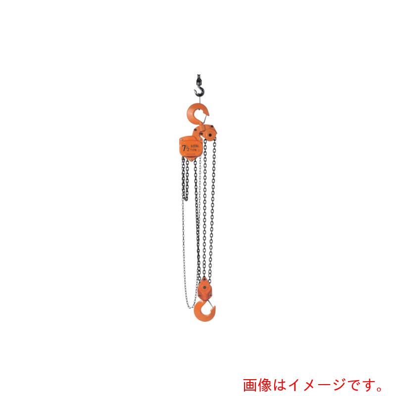 【別途貨物輸送あり】バイタル産業（VITAL） チェンブロックＶＬ５つづき物 ７．５ｔ 【品番：VL5-75】