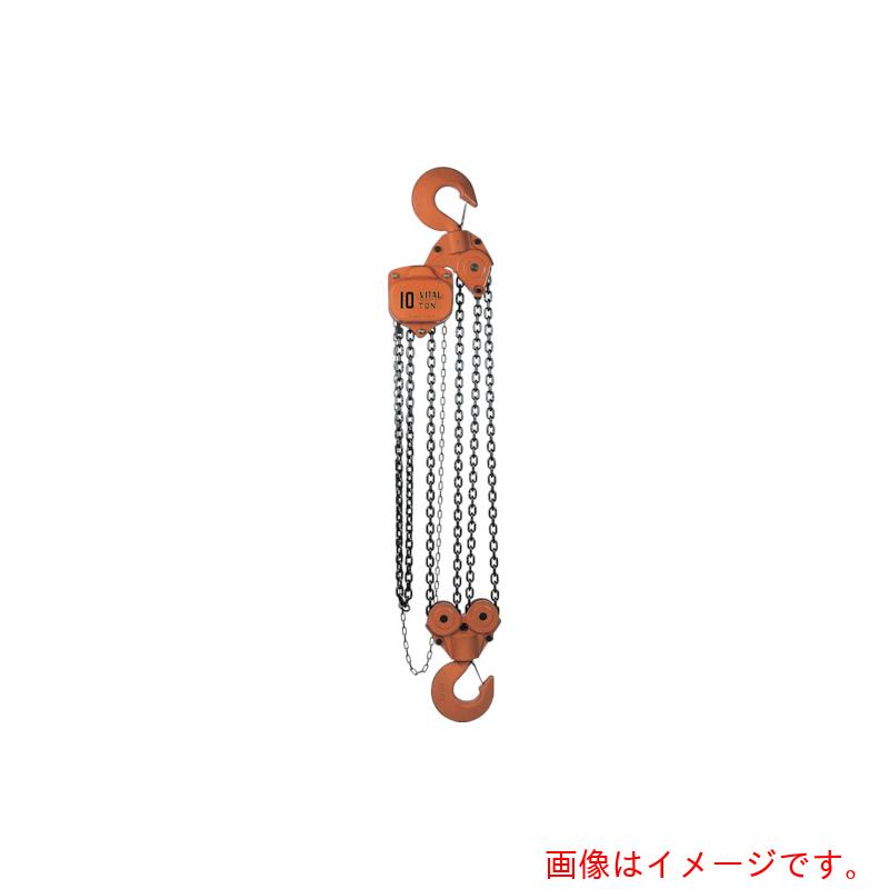 【別途貨物輸送あり】バイタル実業（VITAL） チェンブロックＶＬ５続きもの １０ｔ 【品番：VL5-90】