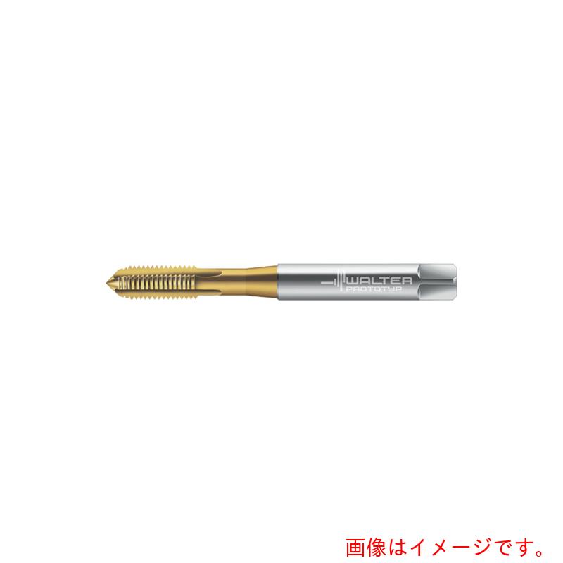 ワルタージャパン（WALTER） Ｐｒｏｔｏｔｙｐ 器械水道栓 【品番：203115-M8】