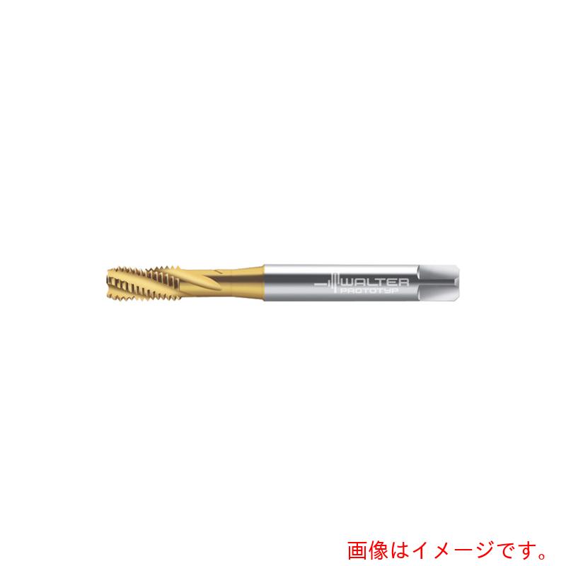 ワルタージャパン（WALTER） Ｐｒｏｔｏｔｙｐ 器械水道栓 【品番：2051315-M6】