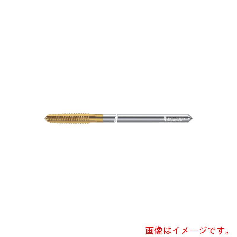 ワルタージャパン（WALTER）　Ｐｒｏｔｏｔｙｐ　ナットタップ　【品番：2084805-M10】