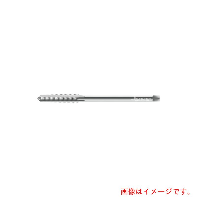 ワルタージャパン(WALTER) Prototyp ナットタップ 【品番:20890-M2】|住設プロ 店