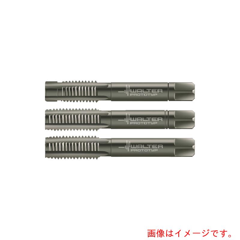 ワルタージャパン（WALTER）　Ｐｒｏｔｏｔｙｐ　ハンドタップセット　【品番：30016-M12】