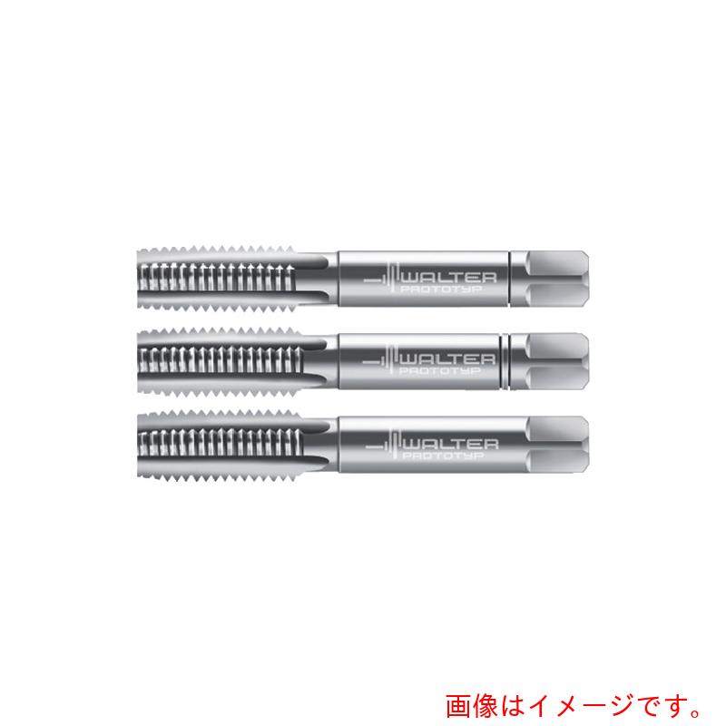 ワルタージャパン（WALTER） Ｐｒｏｔｏｔｙｐ お手て水道栓書き割り 【品番：30060-M5】