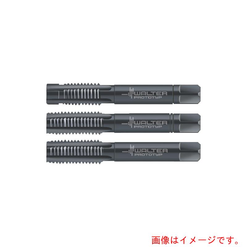 ワルタージャパン(WALTER) Prototyp ハンドタップセット 【品番:30063-M12】|住設プロ 店