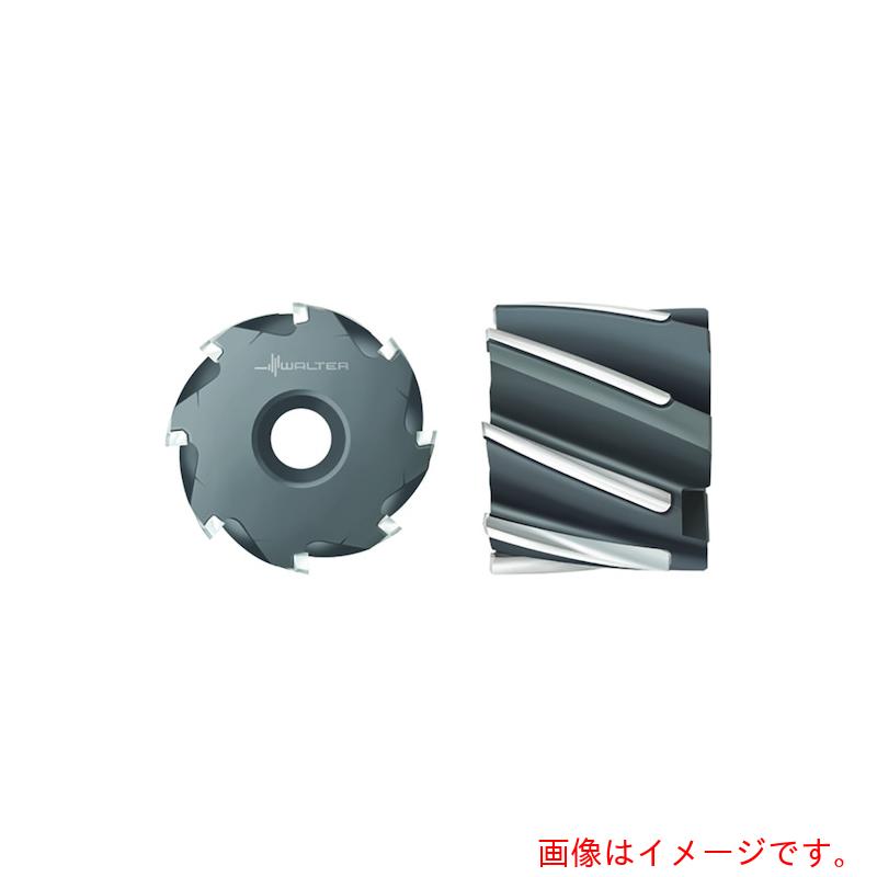 ワルタージャパン（WALTER） Ｗａｌｔｅｒ ろう後ばらいヘリカル溝削り挙げ句のはて粉砕機 【品番：F1675.B.050.Z06.40.K】