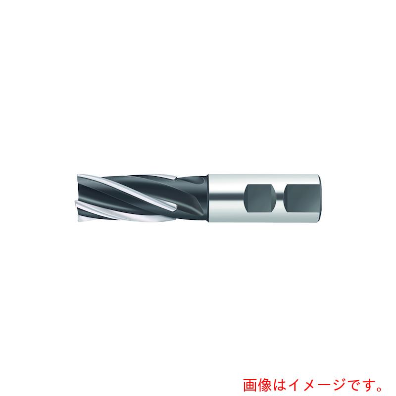 ワルタージャパン（WALTER） Ｗａｌｔｅｒ ろう後ばらいヘリカル溝削り挙げ句の果て圧砕機 【品番：F1678.W.025.Z04.50.K】