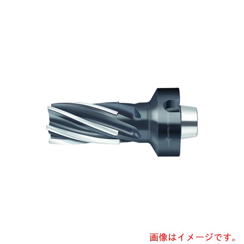 ワルタージャパン（WALTER）　Ｗａｌｔｅｒ　ろう付けヘリカル溝削りエンドミル　【品番：F1682.N8.063.Z06.100.P】