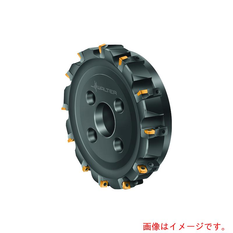 【別途送料あり】ワルタージャパン（WALTER）　Ｗａｌｔｅｒ　フェースミル　【品番：F2010.B.200.Z12.04.R759M】 185,026円