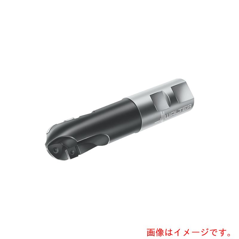 ワルタージャパン（WALTER）　Ｗａｌｔｅｒ　ボールノーズカッター　【品番：F2239B.T22.030.Z01.15】